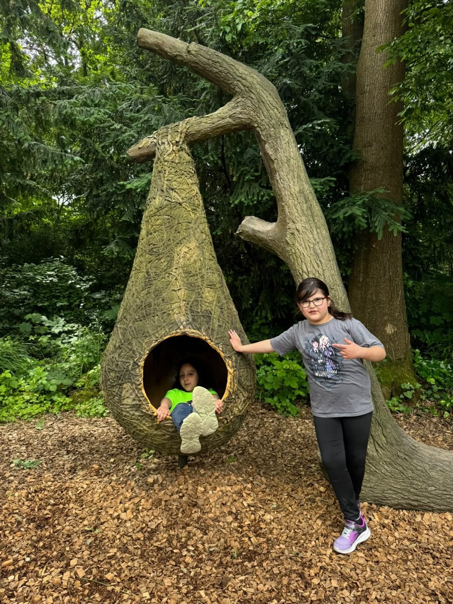 Kinder am Baumnest im Zoo